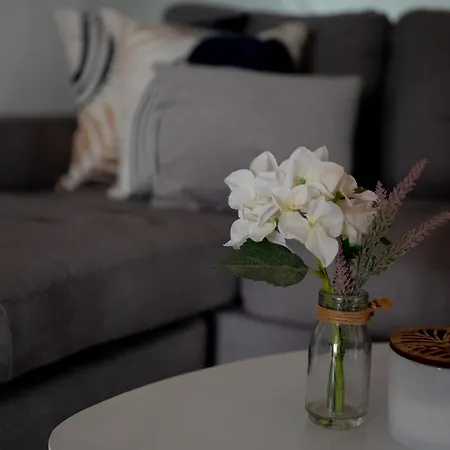 Apartman Petar Zadar